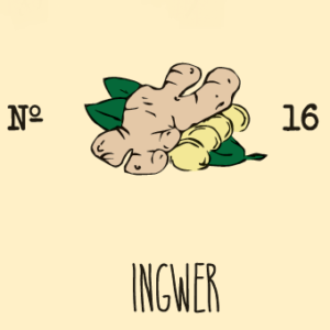 Ingwer